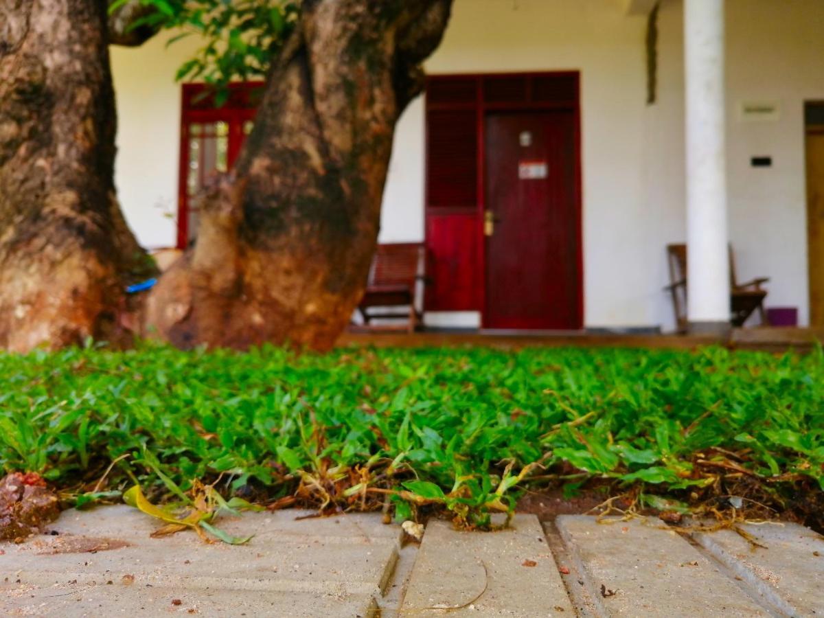 Sigiriya Green Garden Homestay Exterior foto